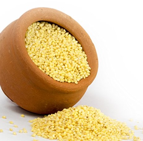 proso_millet-2